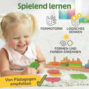Holz Steckspiel, fördert Feinmotorik, logisches Denken und Farberkennung, Montessori Sortierspiel aus Holz für Kleinkinder ab 18 Monaten und 2 Jahren, empfohlen für Kindergarten.