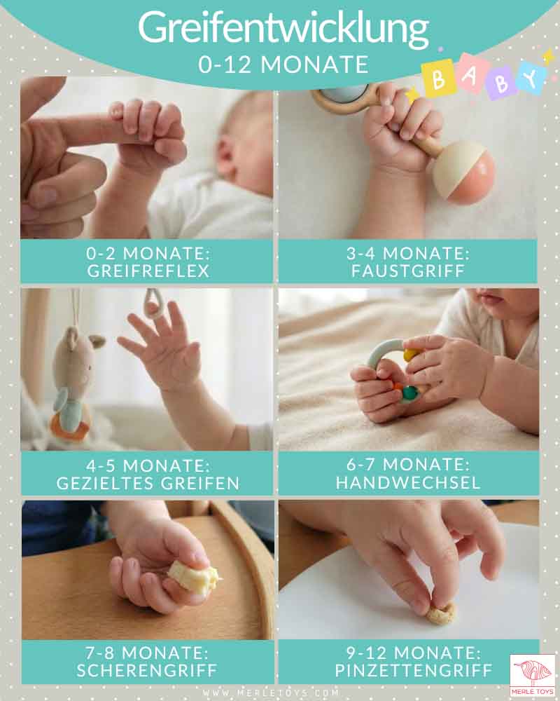 Ab wann greifen Babys gezielt? Infografik Greifentwicklung 0–12 Monate: Greifreflex Babys, Faustgriff, gezieltes Greifen, Handwechsel, Scherengriff (Zangengriff) und Pinzettengriff.
